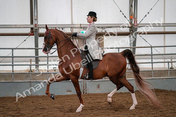 July 19, 2019 - 10445