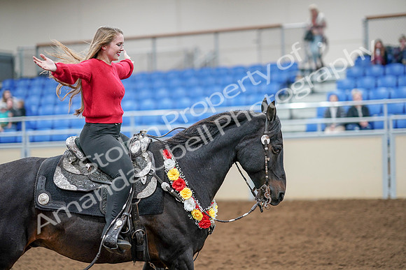 2020 - AB Morgan Horse - Sat, Sept 05 - 10565