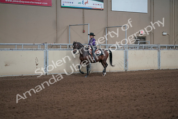2019 Morgan Horse Show - Aug 31, 2019 - 10578