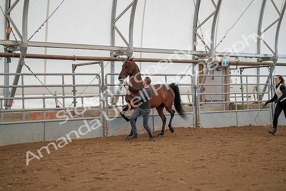 July 19, 2019 - 1225