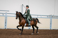 2020 - AB Morgan Horse - Fri, Sept 04 - 03293