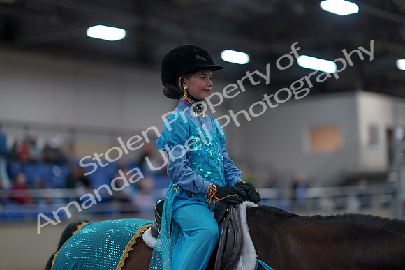 2019 Morgan Horse Show - Aug 31, 2019 - 09961