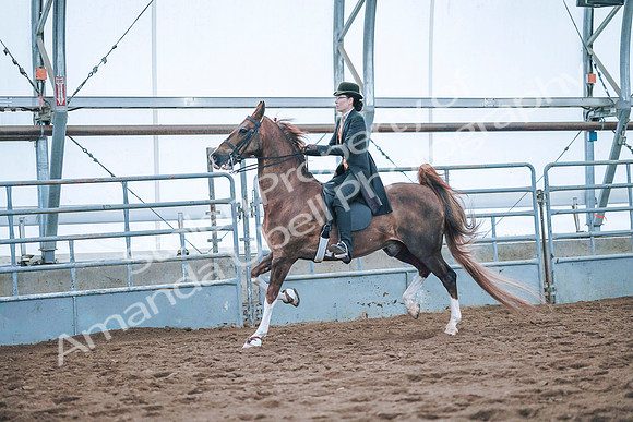 July 20, 2019 - 24038