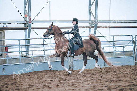 July 20, 2019 - 24041