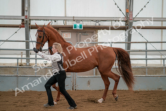 July 19, 2019 - 1367