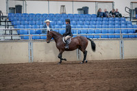 2019 Morgan Horse Show - Sept 01, 2019 - 12756