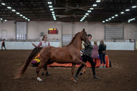 2019 Morgan Horse Show - Aug 31, 2019 - 01030