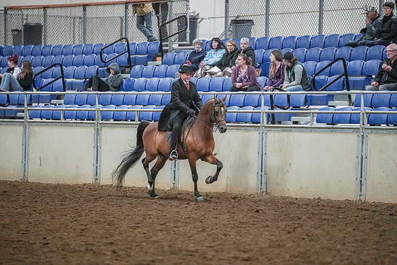 Spring Fling - Saturday - April 20, 2019  -  03931