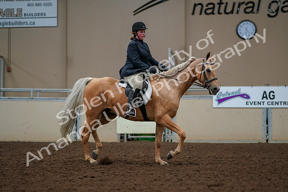 2019 Morgan Horse Show - Aug 30, 2019 - 22626
