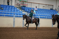 2020 - AB Morgan Horse - Fri, Sept 04 - 03942