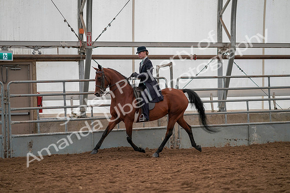 July 19, 2019 - 12983