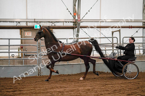 July 19, 2019 - 7037