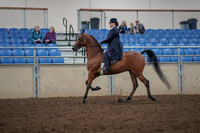 2019 Morgan Horse Show - Aug 30, 2019 - 28370