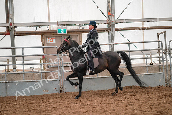 July 19, 2019 - 14105