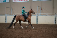 2019 Morgan Horse Show - Aug 30, 2019 - 30646