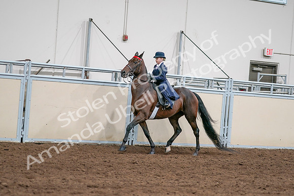2020 - AB Morgan Horse - Sat, Sept 05 - 04803