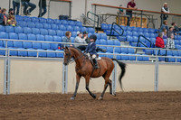 2020 - AB Morgan Horse - Sat, Sept 05 - 01743