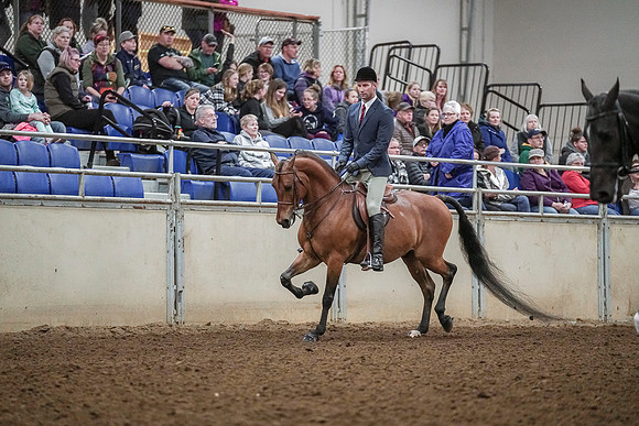 Spring Fling - Saturday - April 20, 2019  -  04558