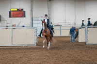 2020 - AB Morgan Horse - Sat, Sept 05 - 11353
