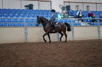 2019 Morgan Horse Show - Aug 30, 2019 - 18306