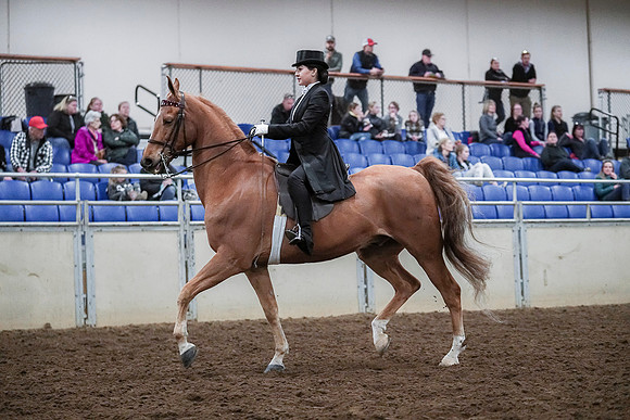 Spring Fling - Saturday - April 20, 2019  -  04141
