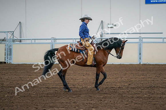 2020 - AB Morgan Horse - Fri, Sept 04 - 00115