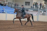 2020 - AB Morgan Horse - Sun, Sept 06 - 00288