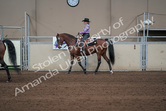 2019 Morgan Horse Show - Sept 01, 2019 - 06885
