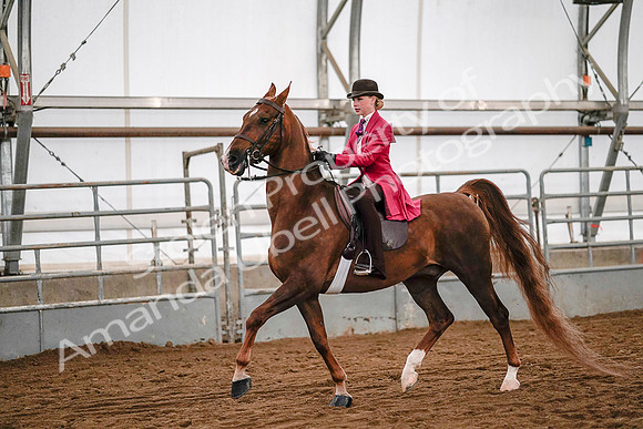 July 19, 2019 - 8937