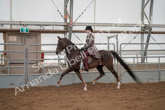 July 20, 2019 - 04248