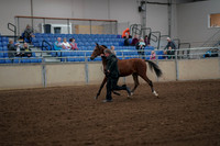 2019 Morgan Horse Show - Aug 30, 2019 - 25540