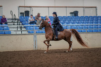 2019 Morgan Horse Show - Aug 30, 2019 - 26765