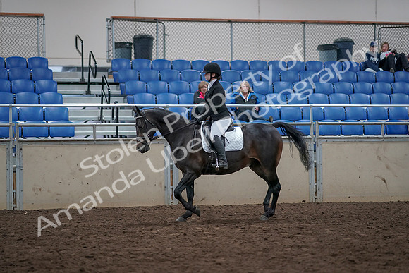 2019 Morgan Horse Show - Aug 31, 2019 - 16491