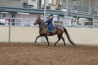 2020 - AB Morgan Horse - Sat, Sept 05 - 04746