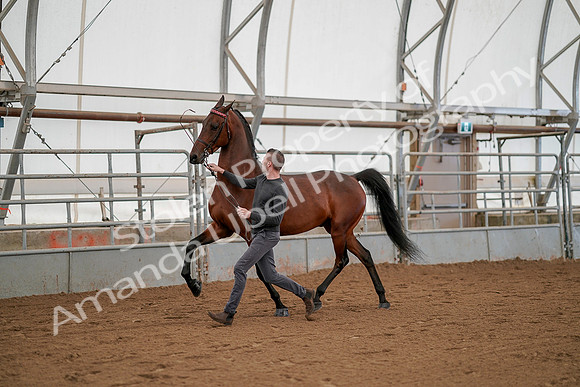 July 19, 2019 - 1168
