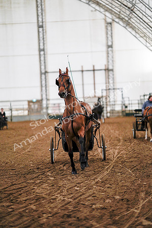 July 19, 2019 - 6794