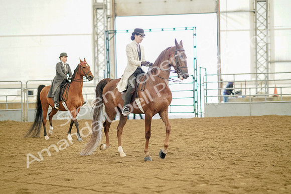 July 20, 2019 - 07909