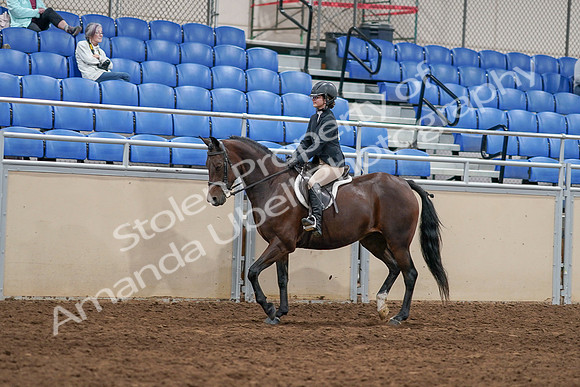2020 - AB Morgan Horse - Sat, Sept 05 - 14252