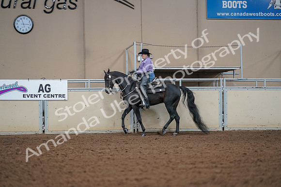 2019 Morgan Horse Show - Aug 30, 2019 - 16824