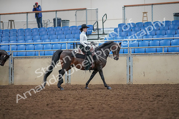 2019 Morgan Horse Show - Aug 30, 2019 - 16948