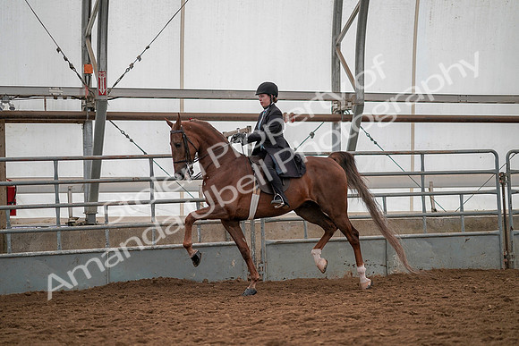 July 19, 2019 - 13165
