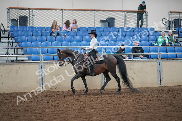 2019 Morgan Horse Show - Aug 30, 2019 - 16758