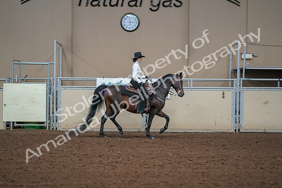 2019 Morgan Horse Show - Aug 30, 2019 - 17006
