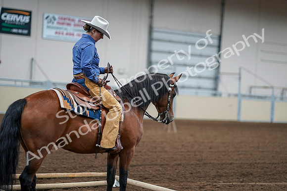2020 - AB Morgan Horse - Fri, Sept 04 - 00143