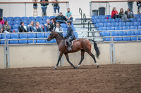 2019 Morgan Horse Show - Aug 31, 2019 - 21366