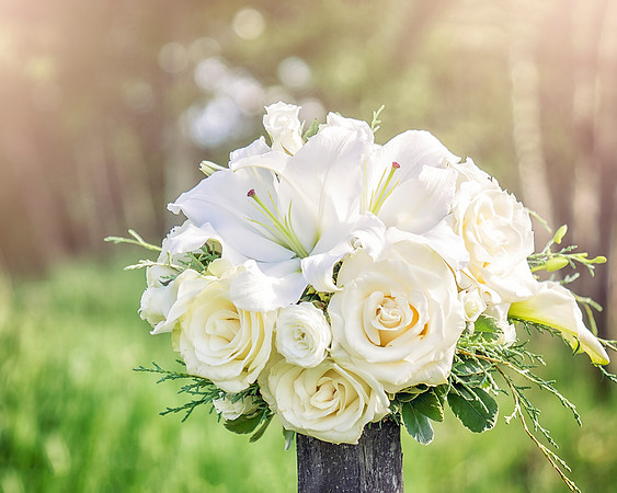 000 - Bob and Bonnie Wedding- June 16, 2018 - 00678