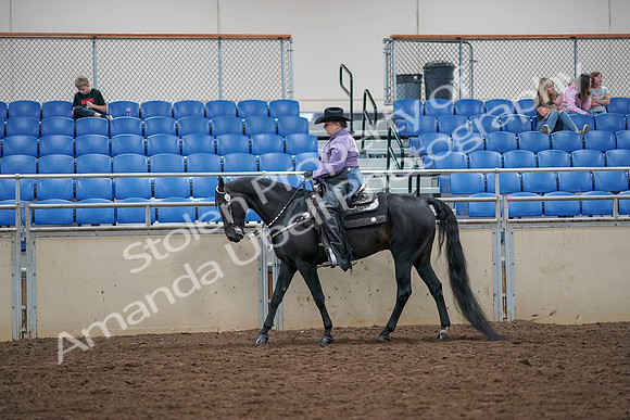 2019 Morgan Horse Show - Aug 30, 2019 - 16743