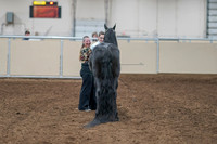 2020 - AB Morgan Horse - Sat, Sept 05 - 00110