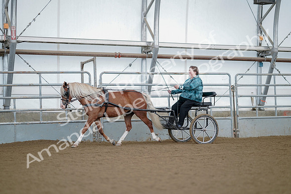 July 21, 2019 - 06602
