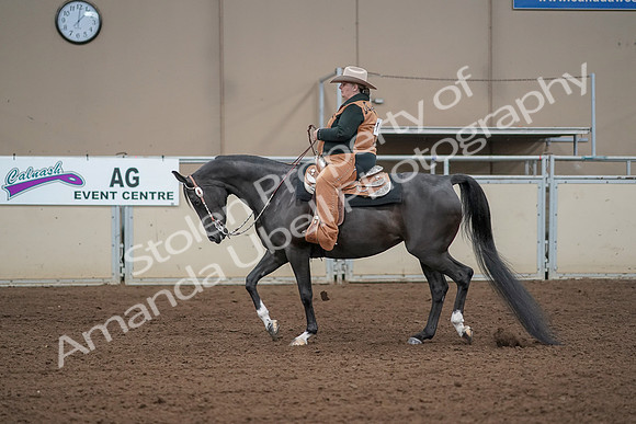 2019 Morgan Horse Show - Aug 31, 2019 - 06069